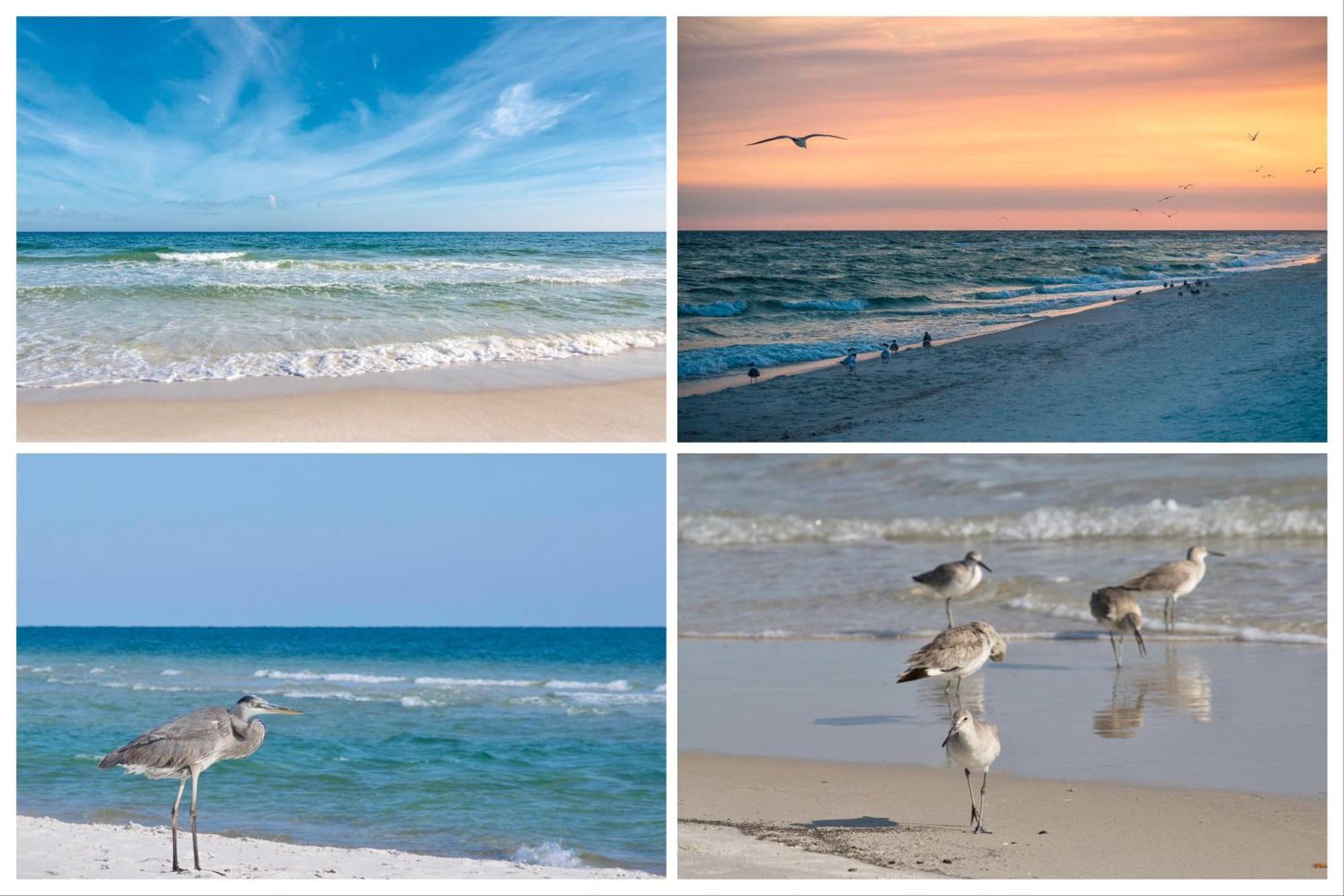 Island Winds East Unit 401 Villa Gulf Shores Værelse billede